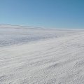 zima
